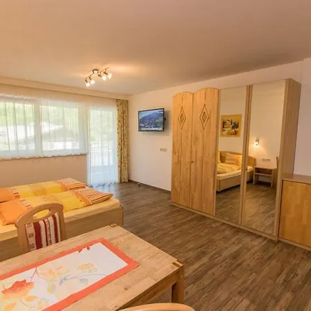 Apartment Mitterer Saalbach