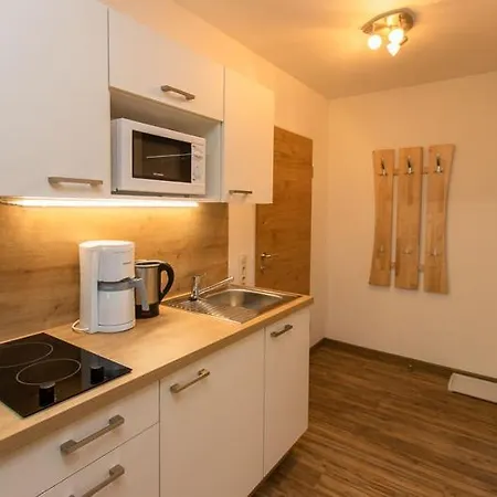 Mitterer Apartment Saalbach
